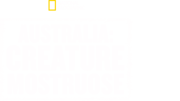 Australia: creature mostruose