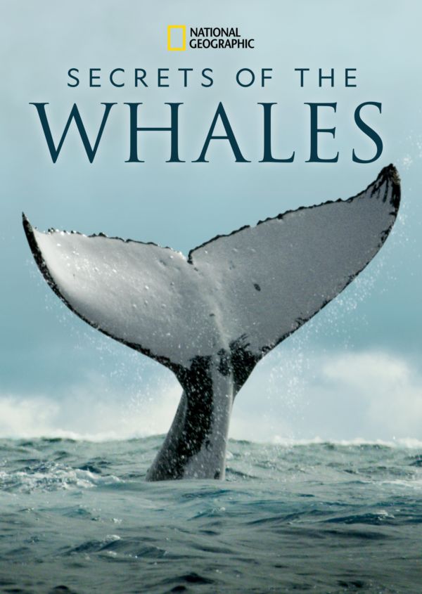 Secrets of the Whales on Disney+ US