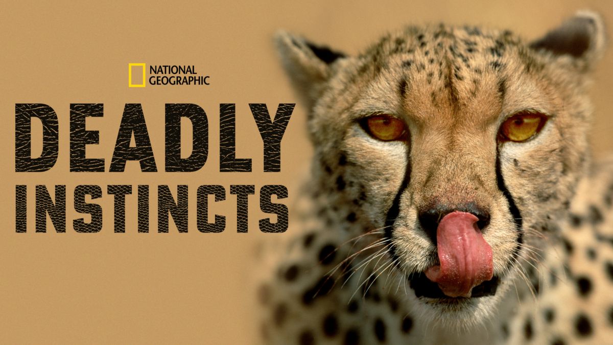 Watch Deadly Instincts | Full episodes | Disney+