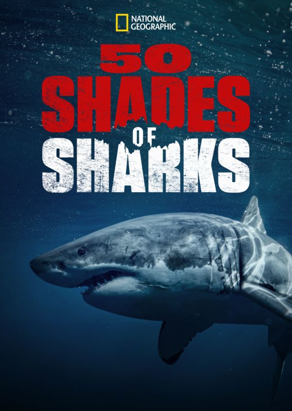 50 Shades of Sharks