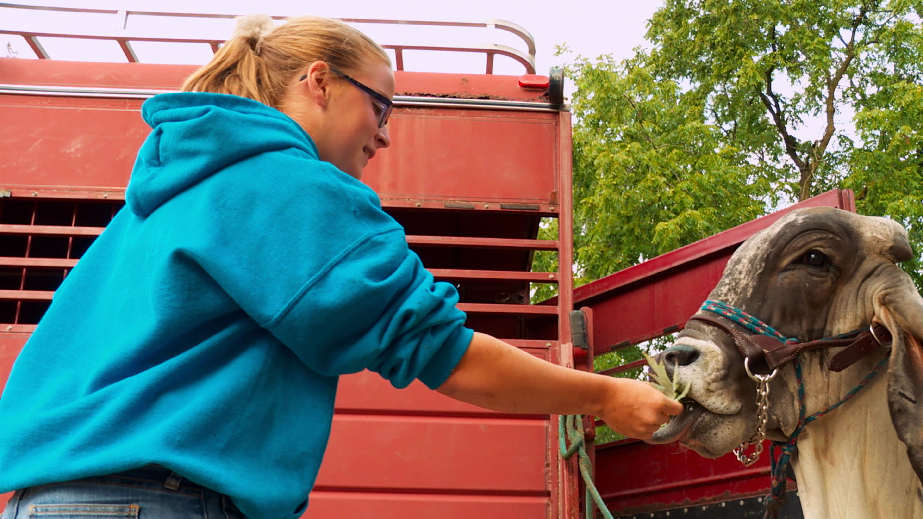 Did Emily Leave Dr Pol - fo8gqdb
