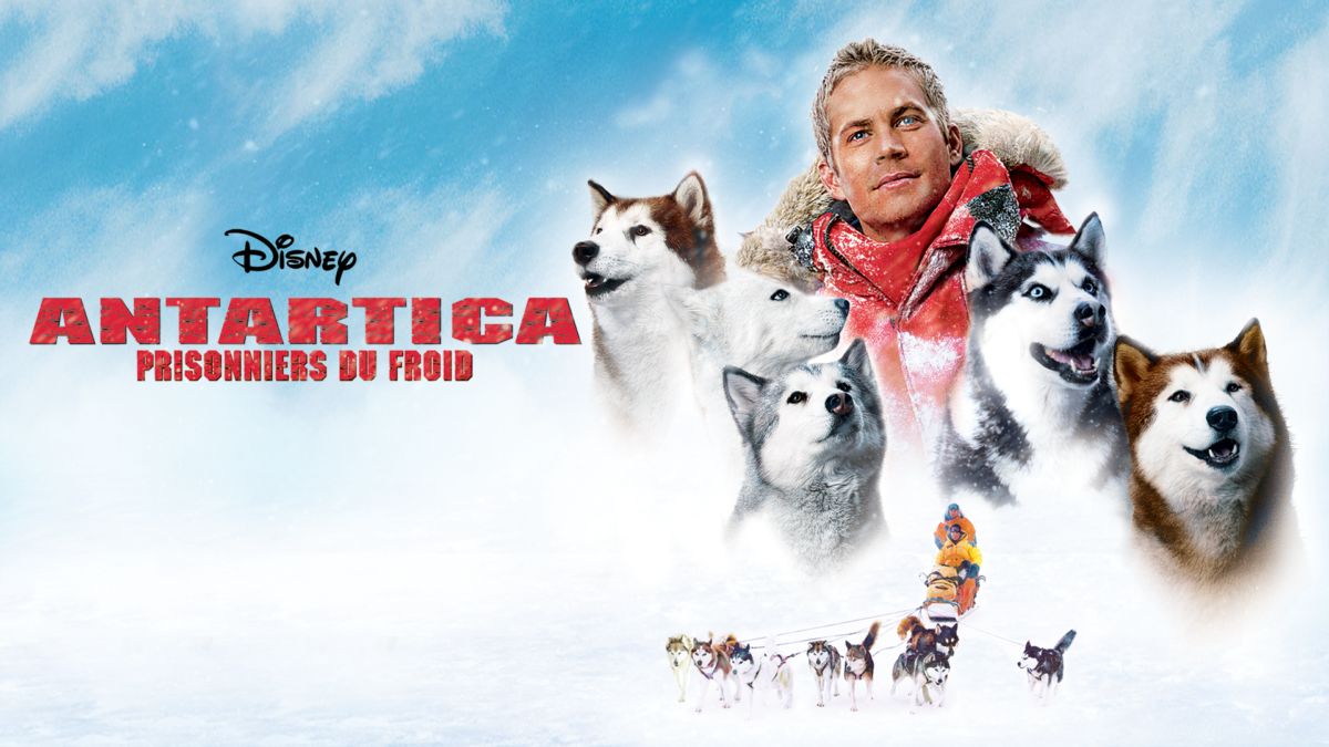 Antartica Prisonniers Du Froid Regarder Antartica, prisonniers du froid | Film complet | Disney+