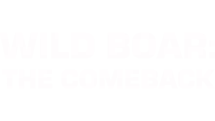 Wild Boar: The Comeback