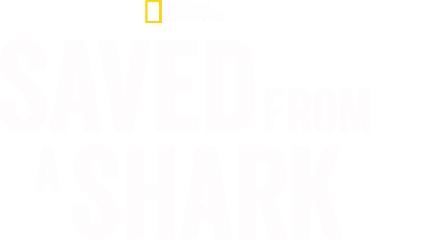Saved from a Shark