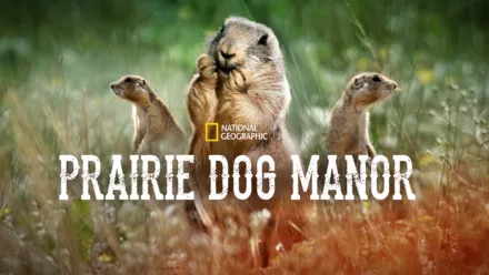 thumbnail - Prairie Dog Manor