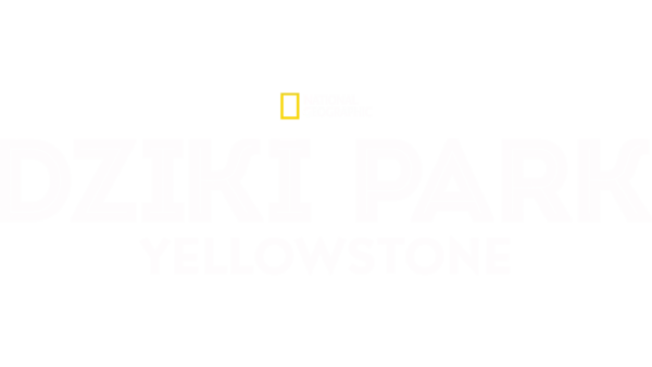 Dziki park Yellowstone