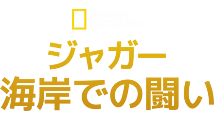 ジャガー：海岸での闘い