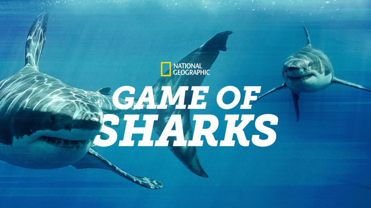Watch Game of Sharks