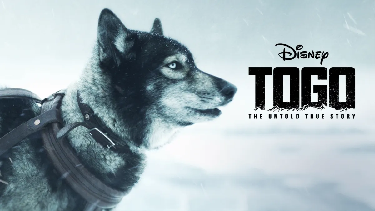 Watch Togo | Disney+