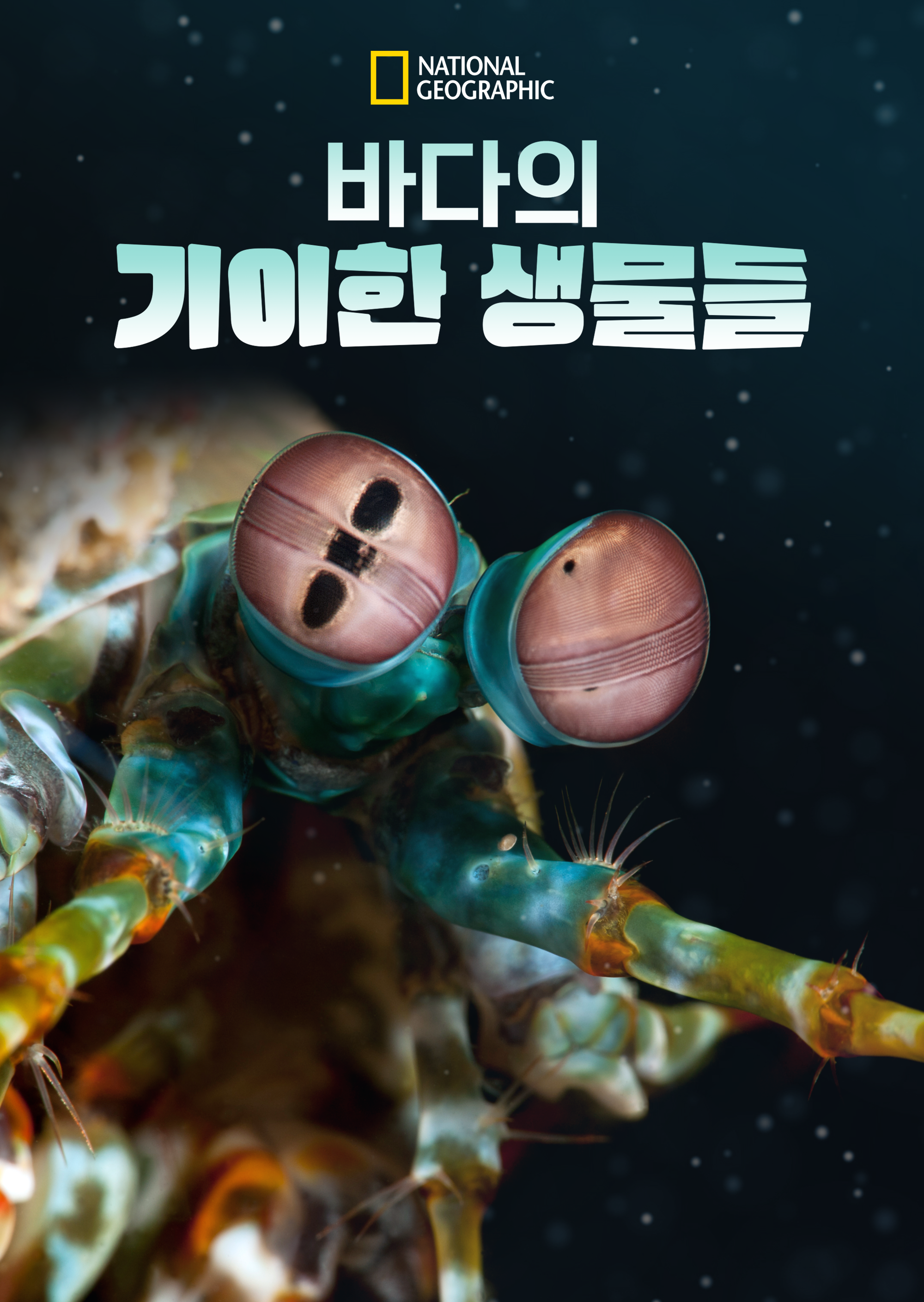 바다의 기이한 생물들
