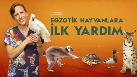 thumbnail - Egzotik Hayvanlara İlk Yardım