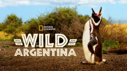 thumbnail - Wild Argentina (2017)