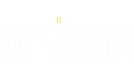 Egzotik Hayvanlara İlk Yardım