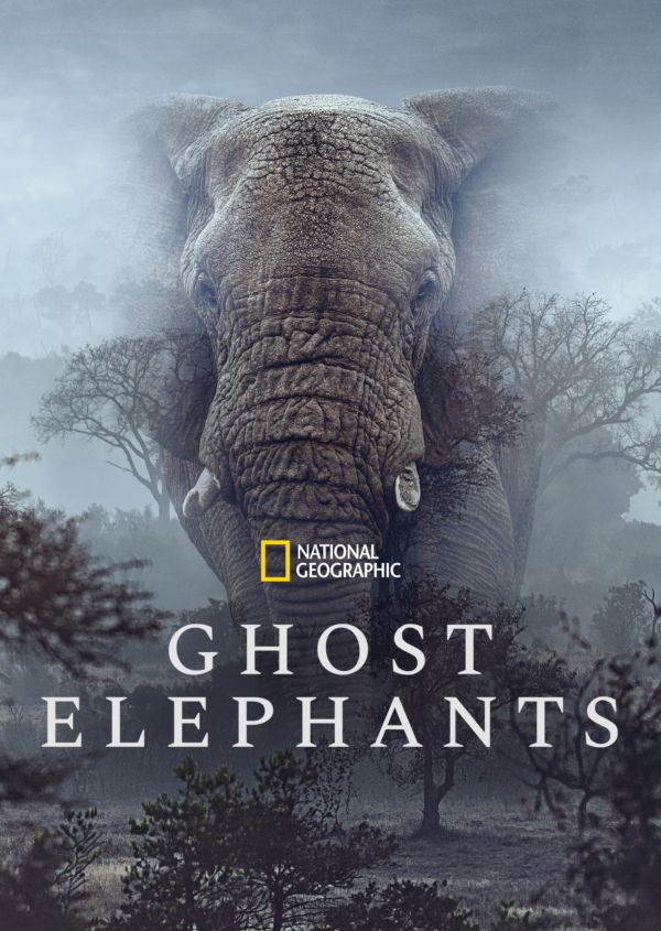 Ghost Elephants on Disney+ AU