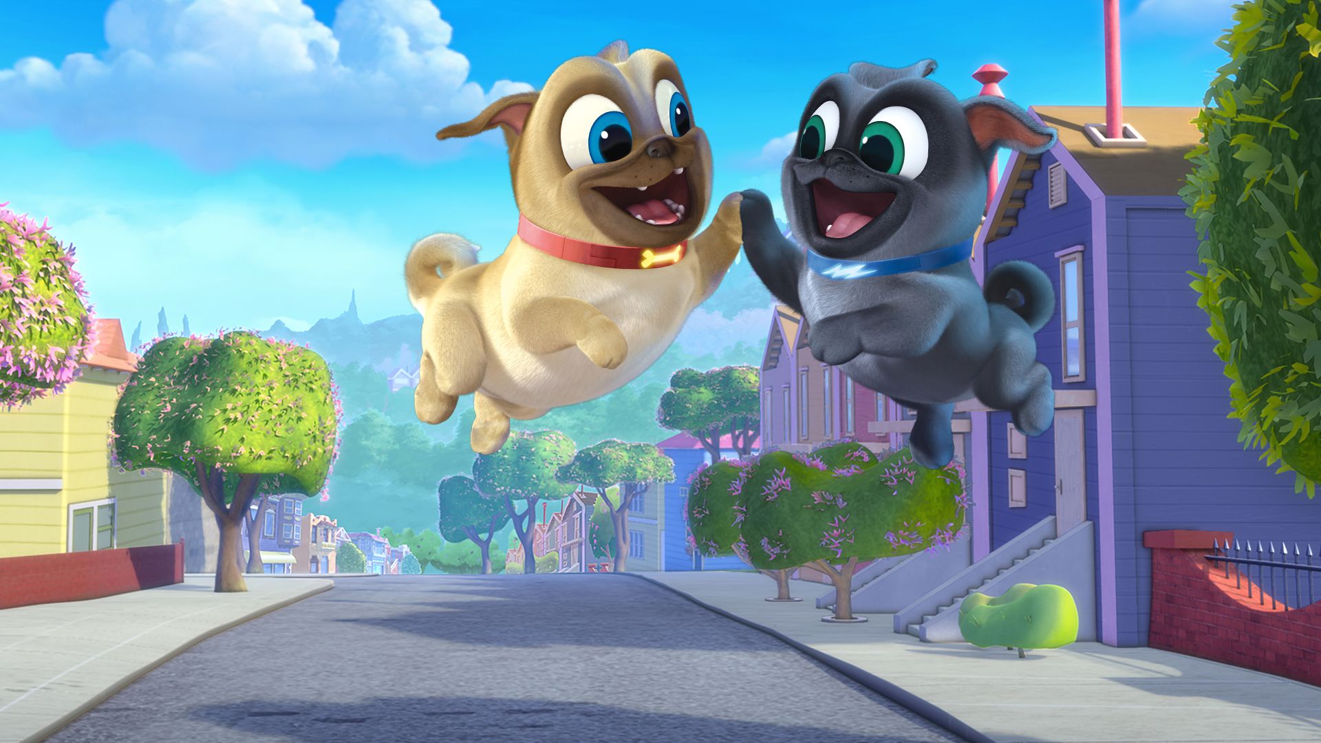 Puppy dog pals 2025 watch cartoons online