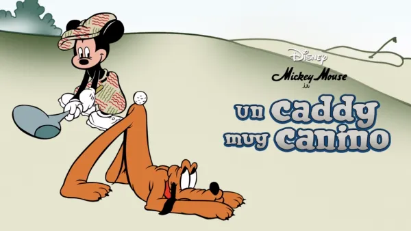 thumbnail - Un caddy canino