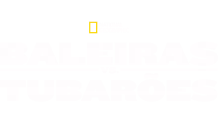 Baleias vs. Tubarões