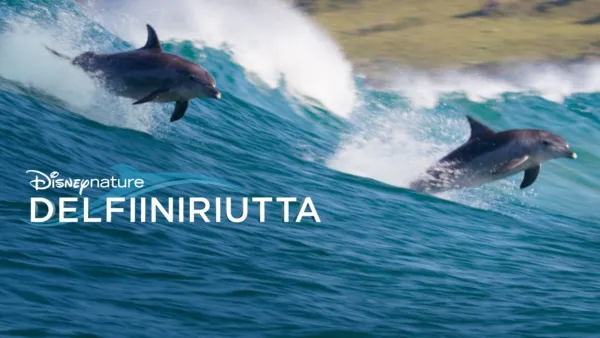 thumbnail - Disneynature: Delfiiniriutta