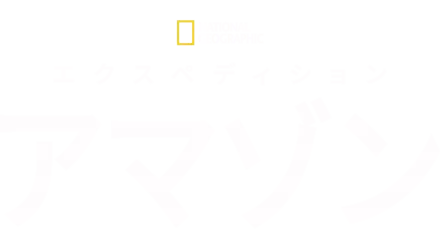 エクスペディション・アマゾン