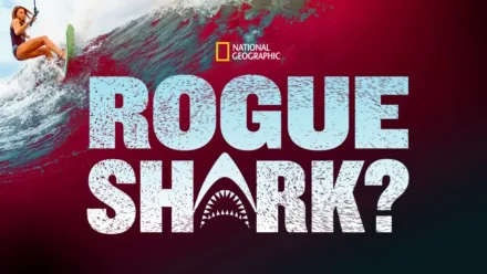 thumbnail - Rogue Shark?