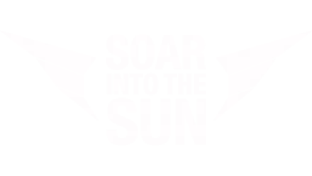 Soar Into the Sun