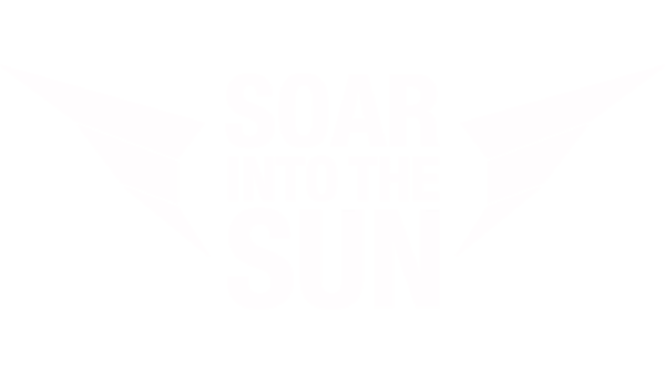Soar Into the Sun