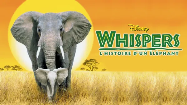 thumbnail - Whispers : L’Histoire d’un éléphant