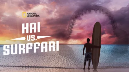 thumbnail - Hai vs. surffari