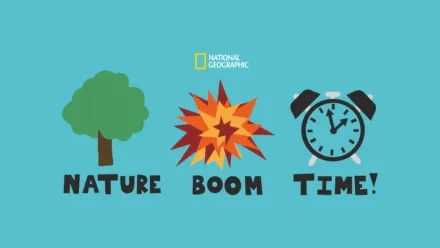 thumbnail - Nature Boom Time