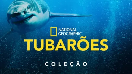 thumbnail - National Geographic: Tubarões