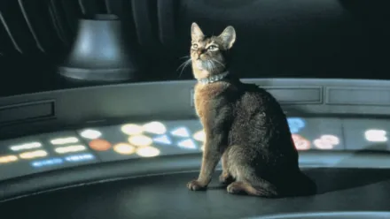 Watch The Cat from Outer Space Disney