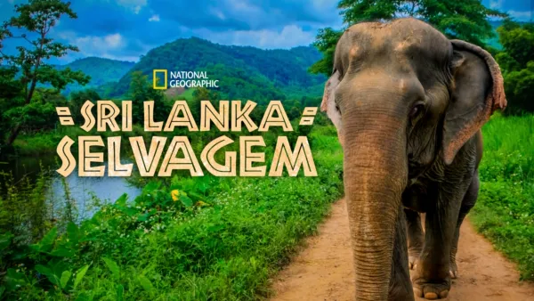 thumbnail - Sri Lanka Selvagem