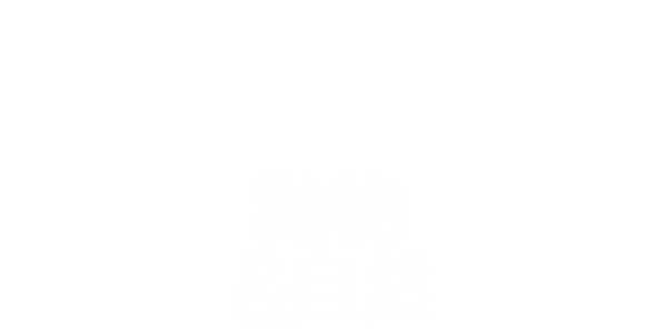 動物＆自然 Title Art Image