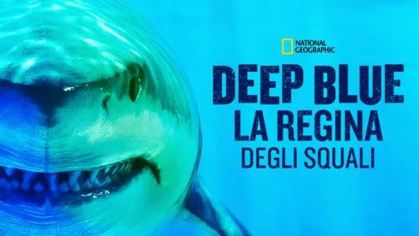 thumbnail - Deep Blue: la regina degli squali