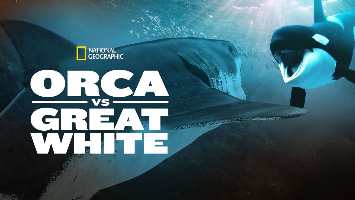 Watch Orca Vs Great White Full Movie Disney