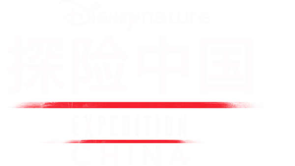 探险中国