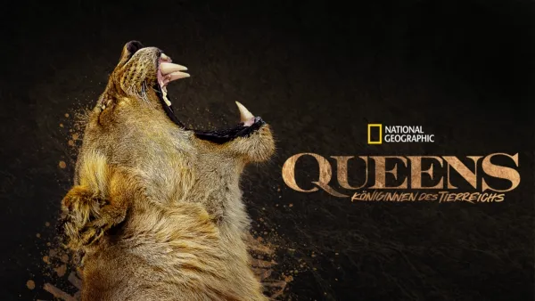 thumbnail - Queens: Königinnen des Tierreichs