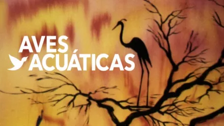 thumbnail - Aves acuáticas