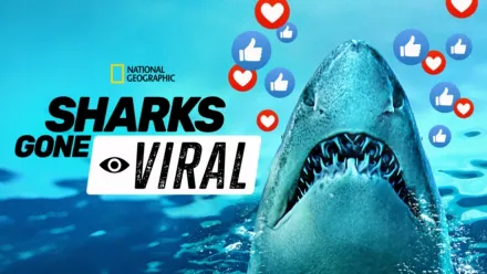 thumbnail - Sharks Gone Viral