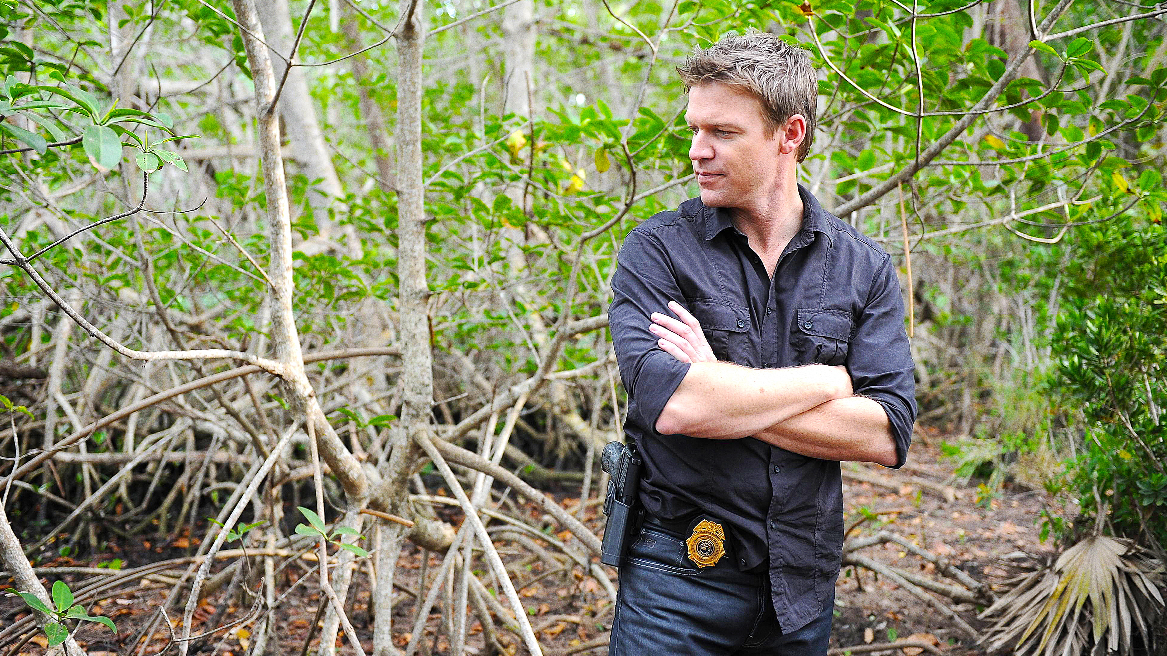 The Glades