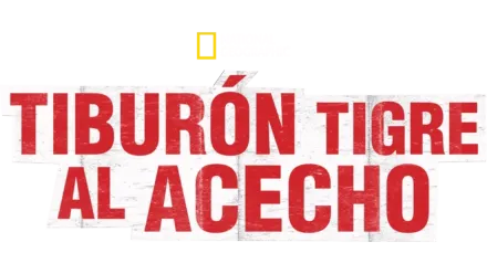 Tiburón tigre al acecho