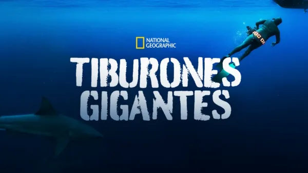 thumbnail - Tiburones gigantes