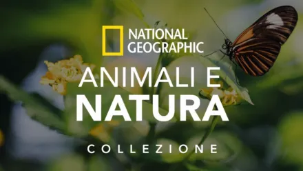 thumbnail - National Geographic: animali e natura
