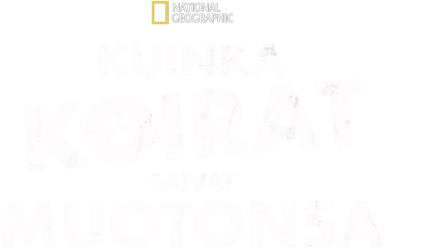 Kuinka koirat saivat muotonsa