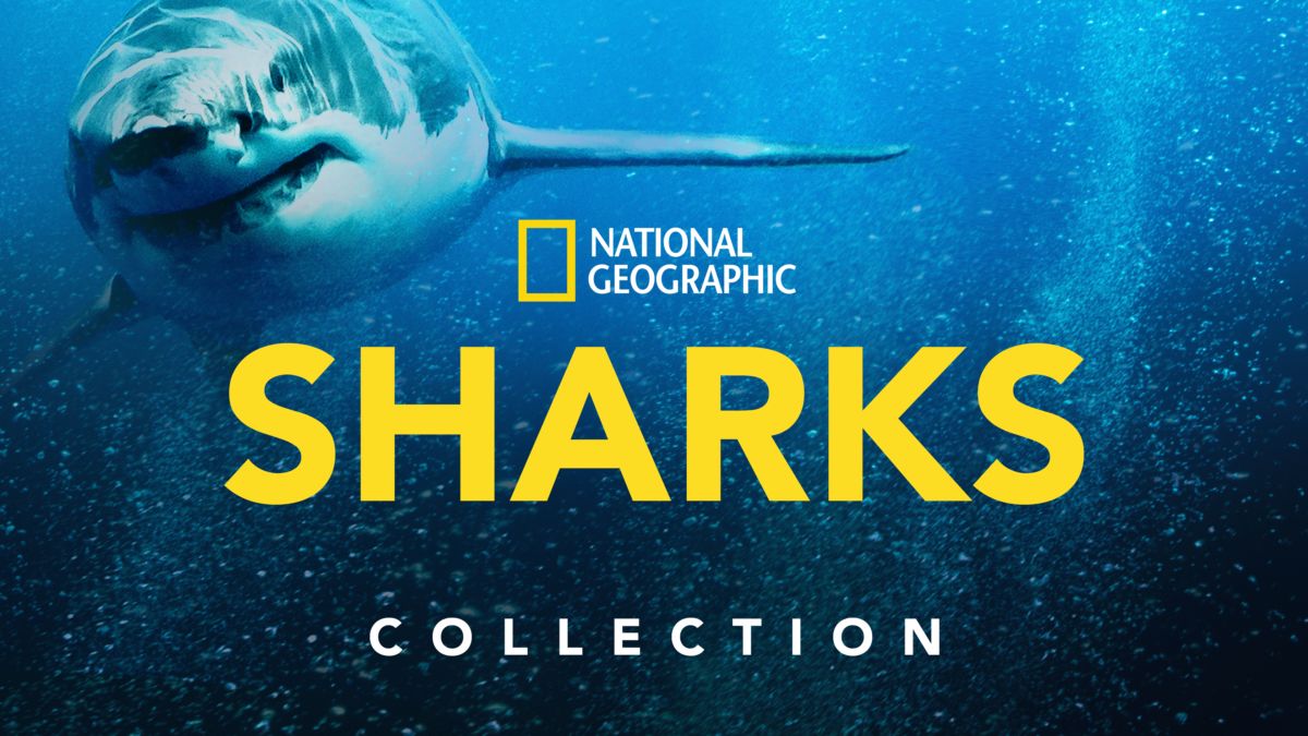 Watch National Geographic Sharks Disney+