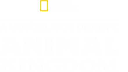 A varázslatos Disney's Animal Kingdom