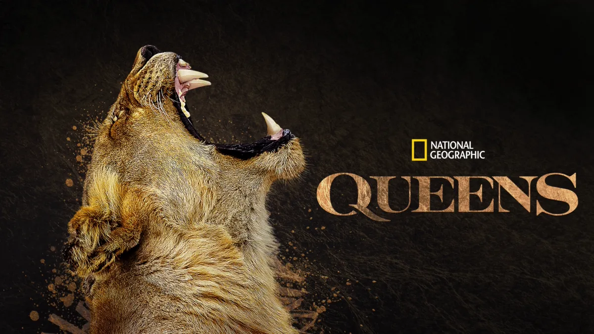 Watch Queens | Disney+