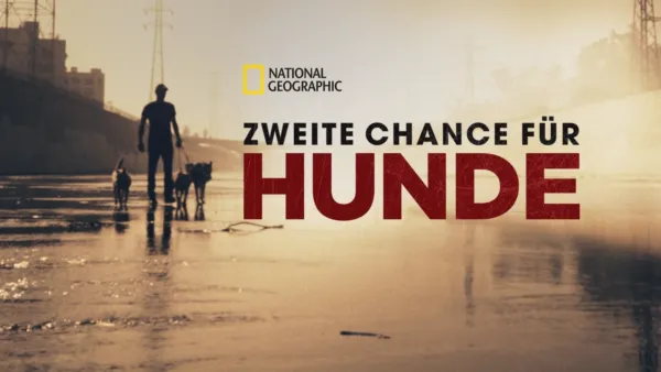 thumbnail - Zweite Chance für Hunde