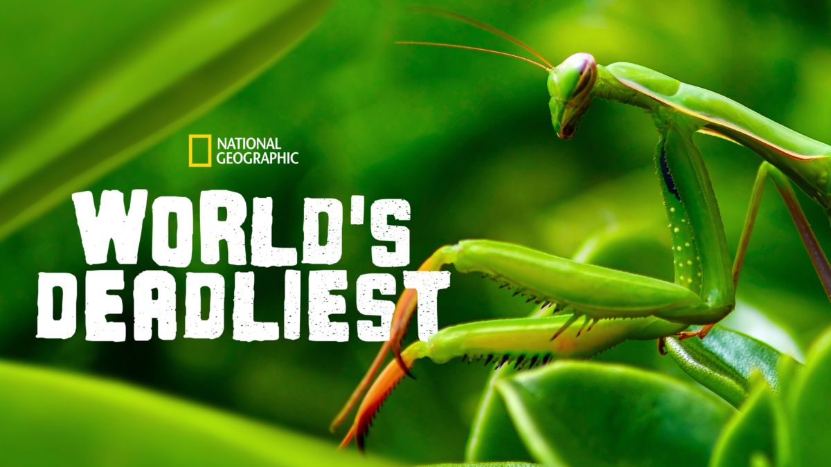 Watch World's Deadliest Disney+