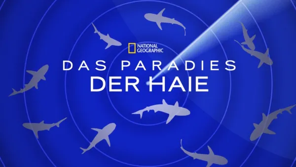 thumbnail - Das Paradies der Haie
